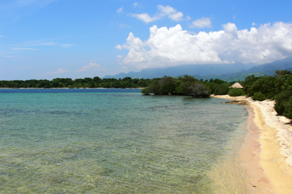 Menjangan Jungle & Beach Resort Beach