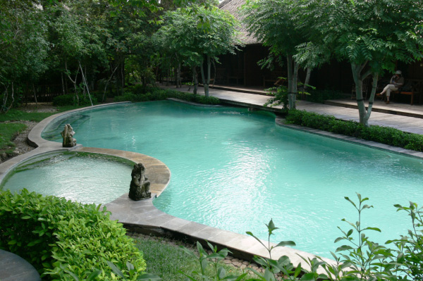 Menjangan Jungle & Beach Resort Pool 01