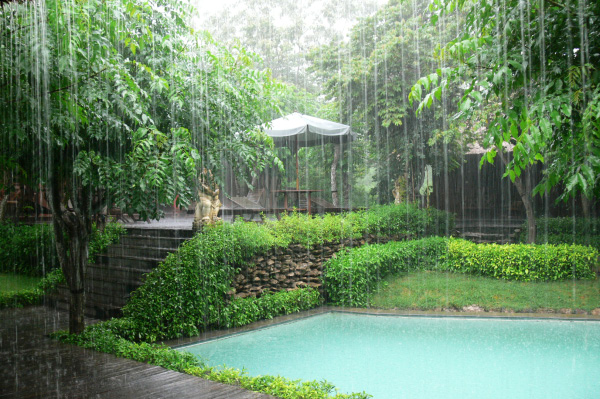 Menjangan Jungle & Beach Resort Raining
