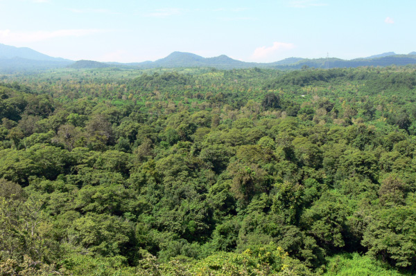 Menjangan Jungle & Beach Resort View 01