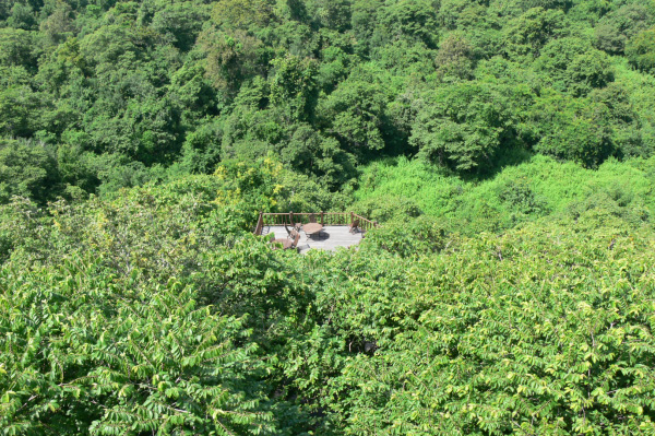 Menjangan Jungle & Beach Resort View 02