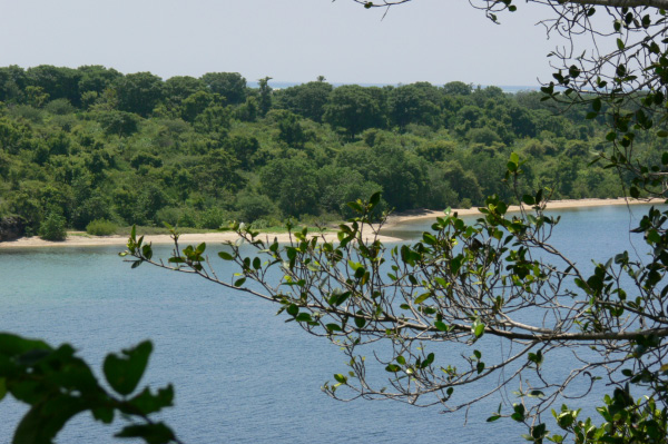 Menjangan Jungle & Beach Resort View 03