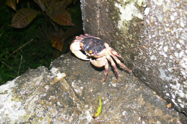 Meridien Tanah Lot Villa Outside 12