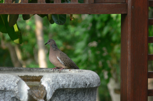 Meridien Tanah Lot Villa Outside 13