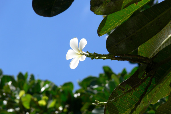 Meridien Tanah Lot Villa Outside 16