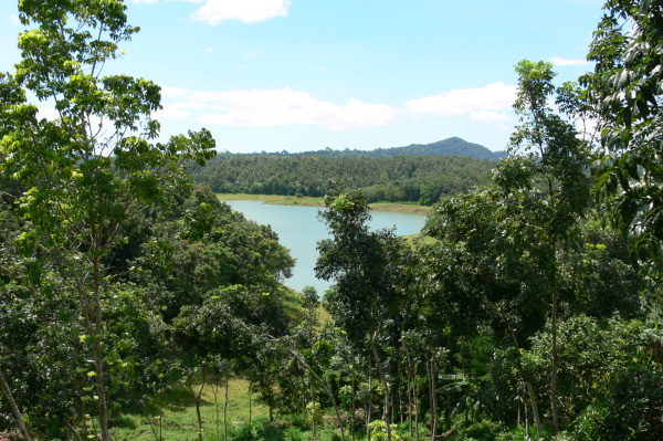 Palasari reserve 01
