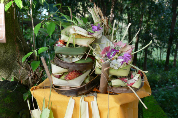 Taman Wana Villas outside 02