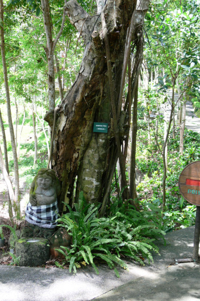 Taman Wana Villas outside 05