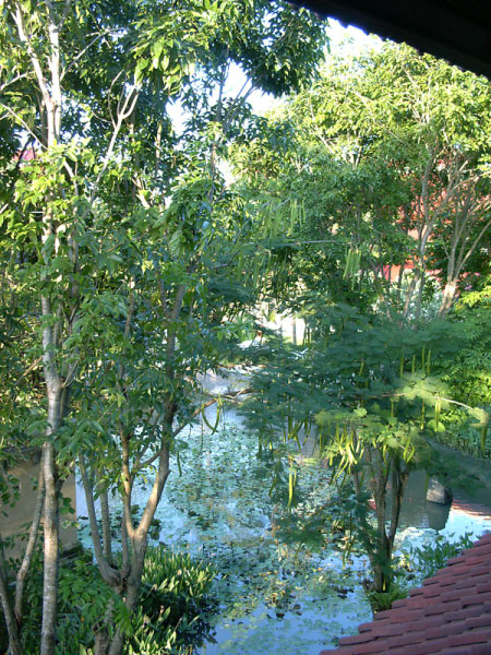 intercontital Bali 02