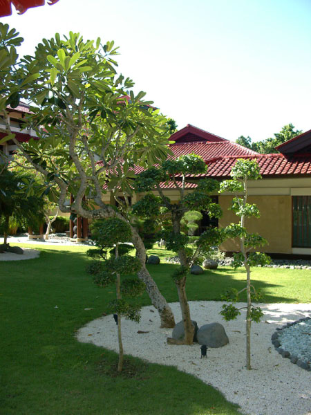 intercontital Bali 10