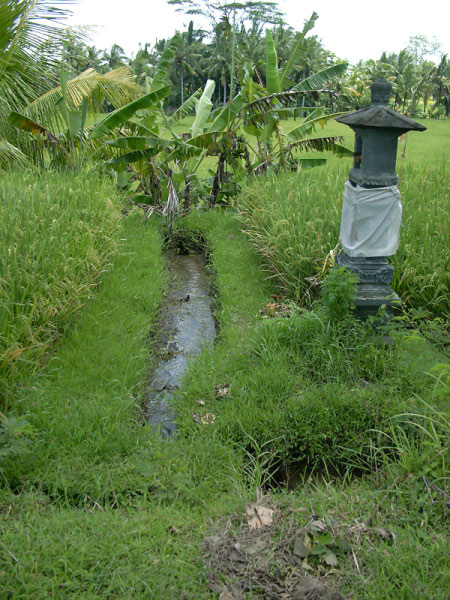 ubud 02