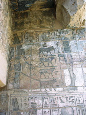 medinet habu 03