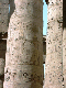 karnak 03