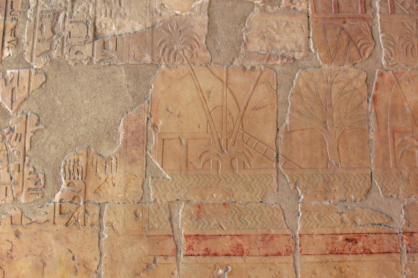 P1020631_bearbeitet-1